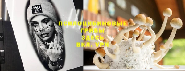 дживик Абинск