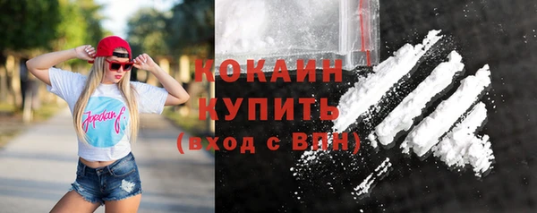 дживик Абинск